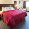 Отель Cedars Inn, фото 7