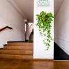 Отель Apartmento Cactus II, фото 10
