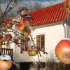 Отель Mellangården i Äpplerum, фото 7
