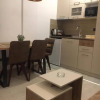 Отель Apartman “N 17”Milmari-Kopaonik, фото 11