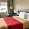 Отель Econo Lodge Vancouver, фото 43