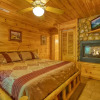 Отель Browns Bear Den #235, фото 2