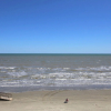 Отель Seascape 1309 in Galveston, фото 23