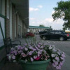 Отель Royal Napanee Inn, фото 10