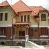 Отель Pensiunea Micsunica, фото 1