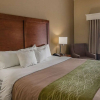 Отель Comfort Inn, фото 6