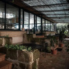 Отель Locanda della Taverna Etrusca, фото 18