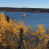 Отель Buffalo Nights Bed and Breakfast, фото 11