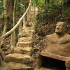 Отель Rainforest Hideaway, фото 9