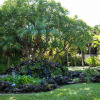 Отель Kihei Resort 129 - One Bedroom Condo, фото 18