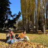 Отель Hostel El Mago, фото 20