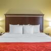 Отель Comfort Suites Locust Grove Atlanta South, фото 32