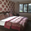 Отель The Cottage Inn Hotel, фото 10