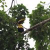 Отель Sloth House, фото 21