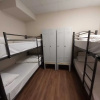 Отель Camellia Hostel, фото 16