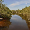 Отель Gulf Pines, фото 24