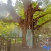 Отель Tree House Nanshan Sanya, фото 8