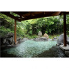 Отель Shikinosato Hanamura, фото 49