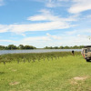 Отель Hippo Island Okavango Delta, фото 8