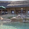 Отель The Springbok Lodge, фото 24