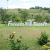 Отель Foresta Hill Resort, фото 14