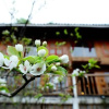 Отель CTN Longji Naked Heart Valley Hotel, фото 7