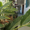 Отель Hostal Ola Italiana, фото 10