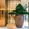 Отель Ji Hotel Xuchang Pangdonglai Times Square, фото 15