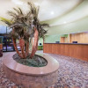 Отель Ramada Tropics Resort / Conference Center Des Moines, фото 17