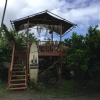 Отель Wild Ginger Inn Hotel & Hostel, фото 15