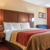 Отель Comfort Inn Lancaster - Rockvale Outlets, фото 7