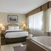 Отель Flamingo Hotel, фото 5