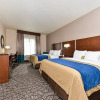 Отель Comfort Inn & Suites, фото 5