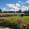 Отель Fantastic house, located among meadows and nature, 3 km from the sea, фото 13