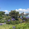 Отель Rainbow Cottage B&B, фото 1