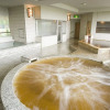 Отель Tokachigawa Onsen Daiichi Hotel Hoshutei Toyotei, фото 23