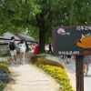 Отель Jeonju Hanok Village Gguldanji, фото 30