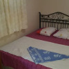 Отель Priene Pansiyon, фото 11