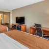 Отель Comfort Suites Terre Haute University Area, фото 33