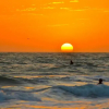 Отель Anna Maria Island Beach Palms 2A, фото 44