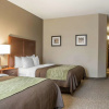 Отель Comfort Inn Edinburg, фото 3