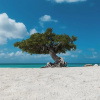 Отель Aruba Breeze 4, фото 35