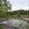 Отель Royal Train Garden Resort, фото 24