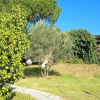 Отель Casa in collina Scandicci, фото 4