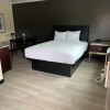 Отель Willow Tree Inn & Suites, фото 3