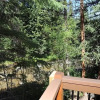 Отель Tannenbaum 105 Apartment 2, фото 14