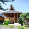 Отель Pura Vida Beach & Dive Resort, фото 18