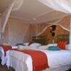 Отель Tsumkwe Country Lodge, фото 3