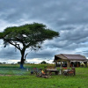 Отель Pumzika Luxury Safari Camp - East Africa Camps, фото 28