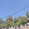 Отель Lalibela Roha Tour, фото 1